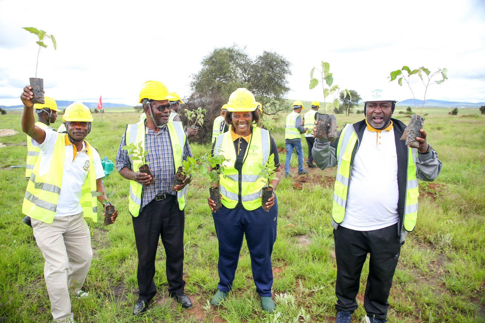 TU-K Plants 1000 Trees at Konza