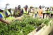 TU-K Plants 1000 Trees at Konza