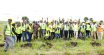 TU-K Plants 1000 Trees at Konza