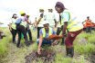 TU-K Plants 1000 Trees at Konza