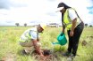TU-K Plants 1000 Trees at Konza