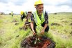 TU-K Plants 1000 Trees at Konza