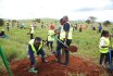 TU-K Plants 1000 Trees at Konza