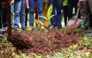 VC leads Staff, Students in Tree Planting 
