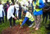 VC leads Staff, Students in Tree Planting 