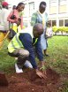 VC leads Staff, Students in Tree Planting 