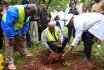 VC leads Staff, Students in Tree Planting 