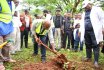 VC leads Staff, Students in Tree Planting 