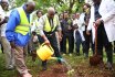 VC leads Staff, Students in Tree Planting 
