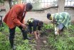 VC leads Staff, Students in Tree Planting 