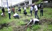 VC leads Staff, Students in Tree Planting 