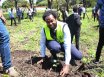 VC leads Staff, Students in Tree Planting 