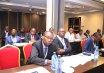 2nd Workshop on Eco-Tanning Processes in Kenya and the East African Region in Nairobi