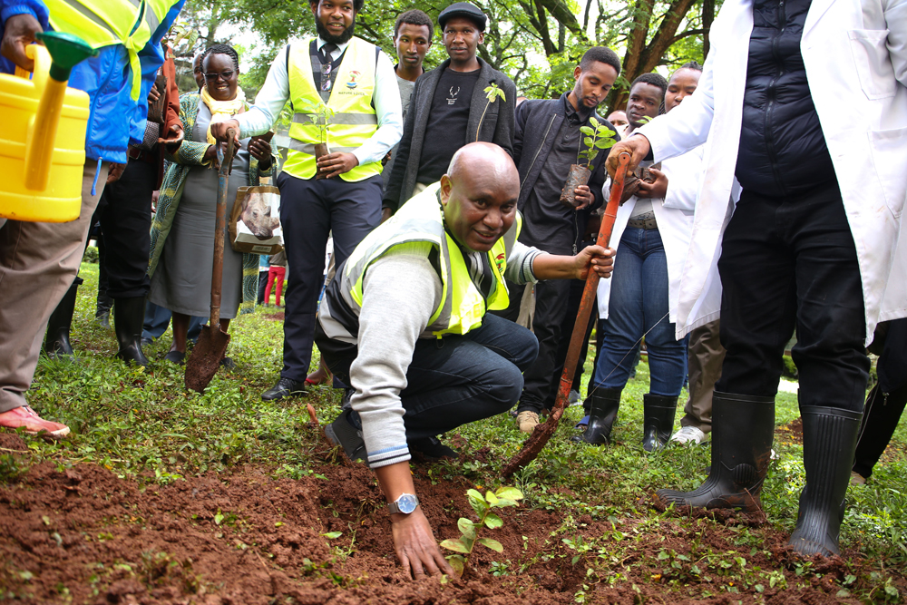 The VC, Prof Benedict Mutua plants a guava tree at the Men's Hostel compound at South B.